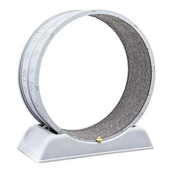 Cat Circle Track Interactive Pet Running Toys - Image 4