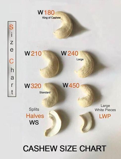 W210 Cashew Nut White Whole Cashews Origin Binh Phuoc, Vietnam Export Standard Pure Vietnam Cashew Nuts - Image 4