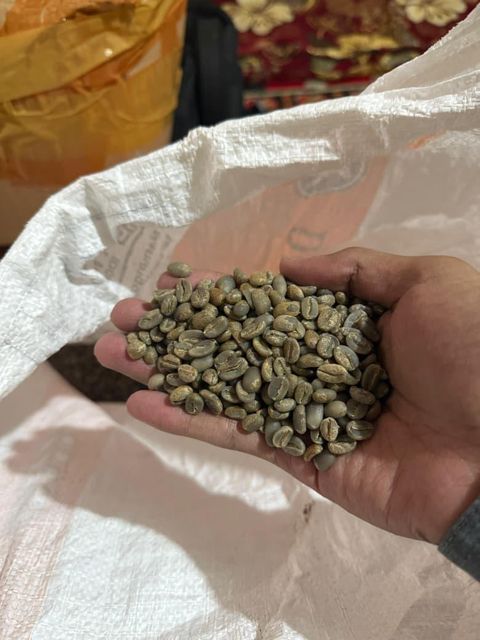 Arabica Green Coffee Bean - Origin Java, Indonesia, PT Harvest Nusa Trading, Lets Connect - Image 3