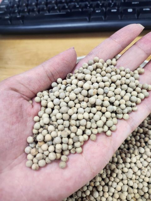 Premium Vietnam White Pepper (Whole) 630 g/l – product photo 3, product detail gallery