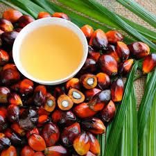 Best Grade Refined Vegetable Oil Crude and RBD Palm Oil CP6 CP8 CP10 for Sale-Contact whatsap +255787979235 - Image 2