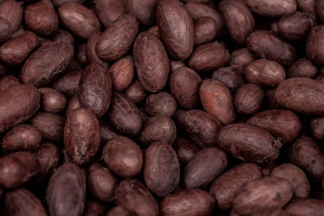 Wholesale Pure Quality Natural Bulk Dry Cocoa Beans Cacao ARIBA Variety Dutched Processing Top Grade - Image 5