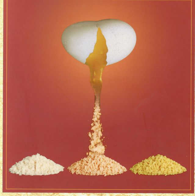 PASTEURISED SPRAY DIRED HEN WHOLE EGG POWDER - STANDARD OR WHOLE EGG POWDER (REGULAR) - Image 2