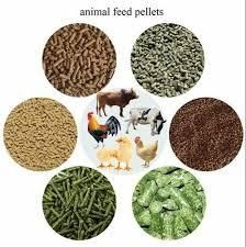 Animal Feed Intended Use Nutritious, High-protein Feed For Poultry, Cattle, And Aquaculture Developed For Optimal Growth And - Image 2