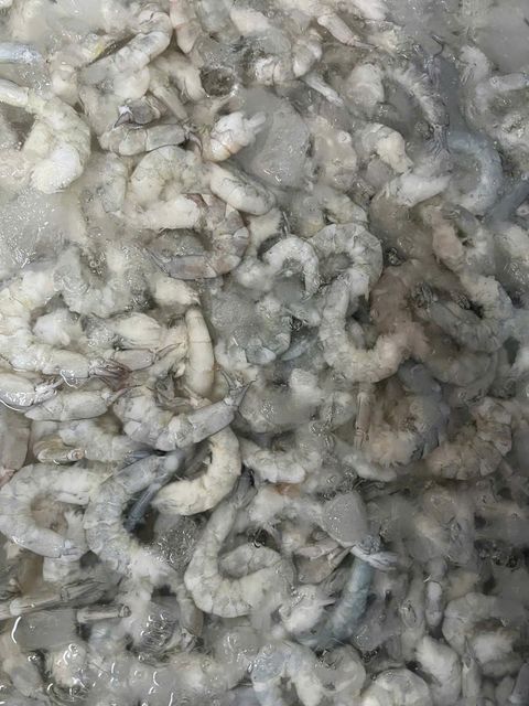 Frozen Hoso Shrimp Selected Whole Shell On Seafood With High Yield Processing Standards For Bulk Seafood Supply - Image 4