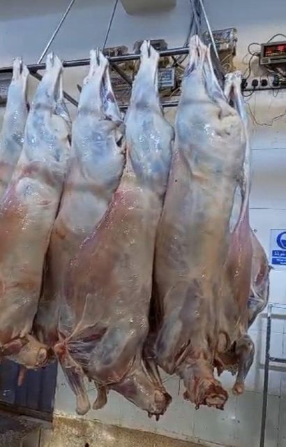 Lamb and beef from Kenya - Image 2