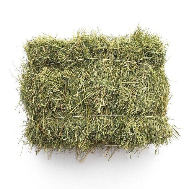 Hot Selling Custom Made Timothy Hay Best Quality Grade Fast Shipping Wholesale Alfalfa Hay Bag Cheap for Horse - Image 1