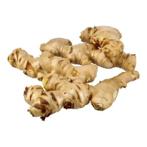 Top Grade Fresh Ginger Clean Natural Ginger for Cooking Restaurants Affordable Wholesale Bulk Deals - Image 4