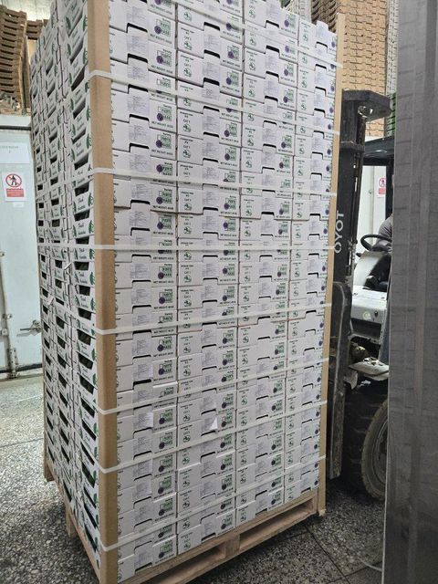 Company – photo 9 of 29, supplier detail gallery