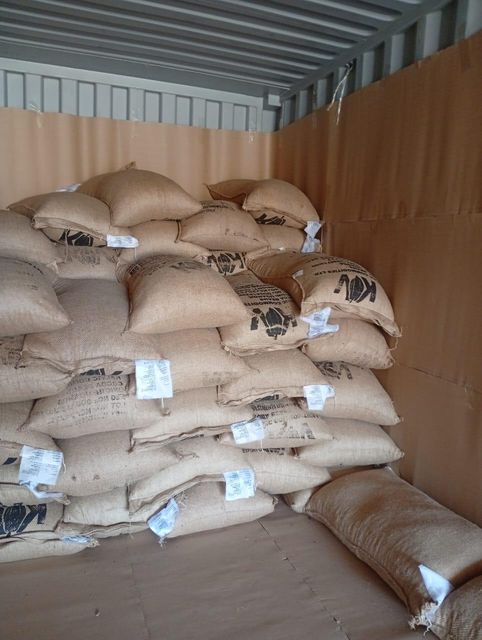 Cocoa beans from Uganda Origin Uganda Bean Type Natural Degree of Processing Raw - Image 2