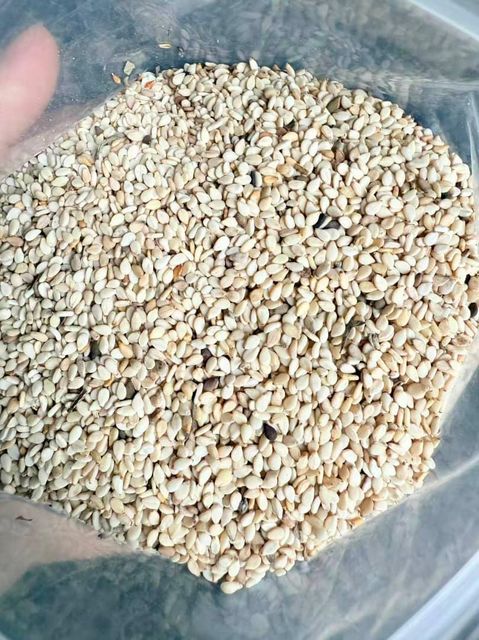 Natural Sesame seeds Food and industrial use - Image 2