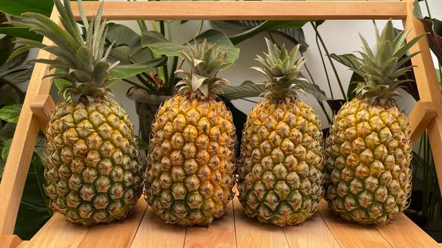 Fresh Fruit Pineapple - Image 2