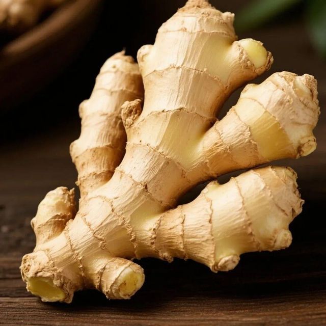 GINGER - Image 1