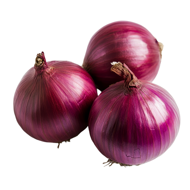 Fresh Onions Supplier Premium Quality Fresh Red Yellow Onions for Wholesale Bulk Export - Image 4