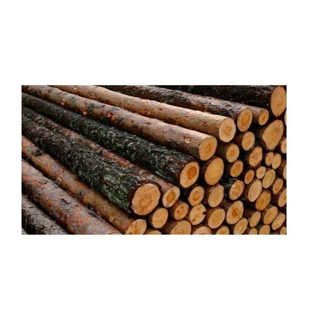 Buy Hard Wood Round Logs At Best Price - Image 5