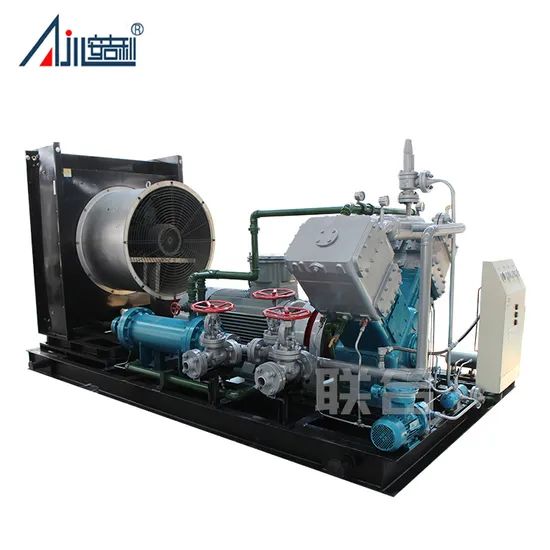 Customizable Multi-Gas Compressor Unit for Natural Gas Hydrogen Biogas LPG CNG Applications - Image 6