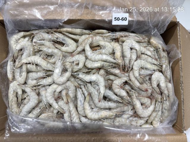 shrimp Texture Firm Taste Natural Features No Preservatives Application Wholesale, Retail, And Food Service Markets Packaging Options IQF And Block Frozen, Iqf And Block Frozen - Image 4