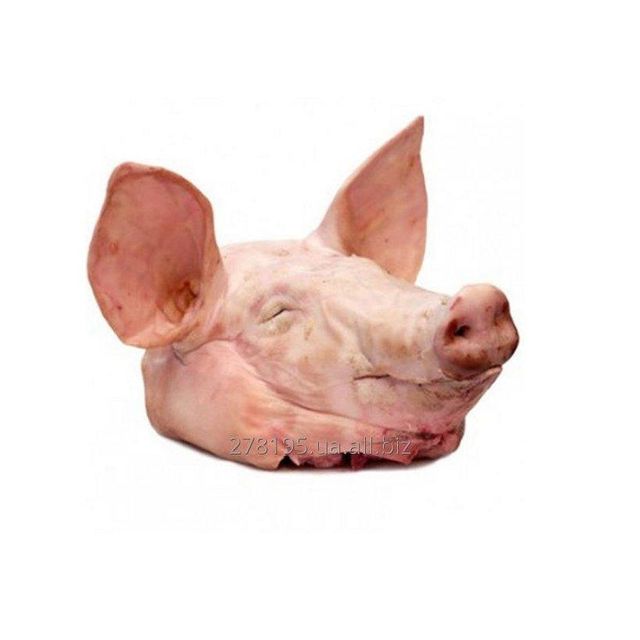 BRAZIL FROZEN Pork Head AVAILABLE FOR SHIPMENT Nutritious 24 Months Top Roast Poultry Products Sale Frozen Meat Pork Head Supplier From Brazil Brazil Origin Frozen Processing Fresh Pork Head Meat Cheap frozen meat halal pork meat - Image 5
