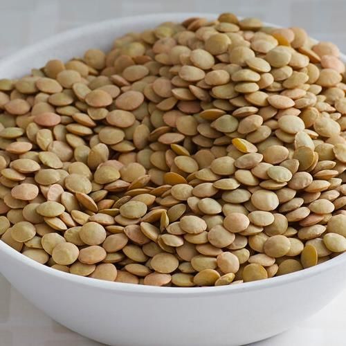 Natural Green Lentils Raw Whole Seeds Clean Fresh Premium Quality High Protein Perfect For Healthy Meals Cooking And Industrial Food Use Buy Today Fast Delivery Premium Quality Wholesale - Image 1