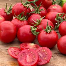 Wholesale Fresh Tomatoes Premium Quality Ripe Red Tomatoes Bulk Fresh Produce - Image 1