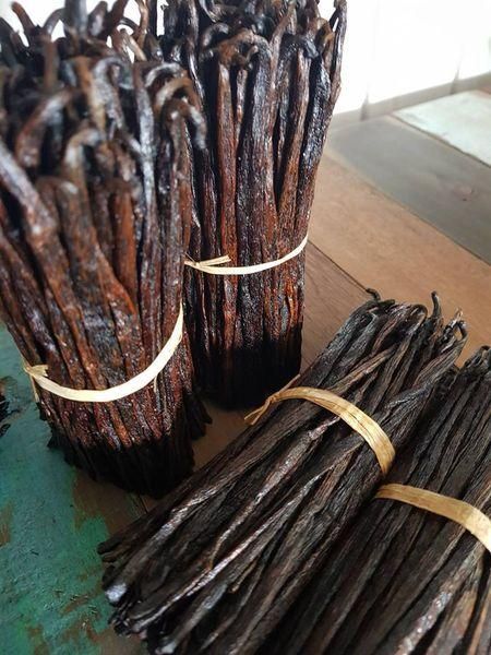 Vanilla Beans 16-19mm in Stock Low Price Best Selling Pure Quality Vanilla Ready for Export Wholesale for Sale - Image 3
