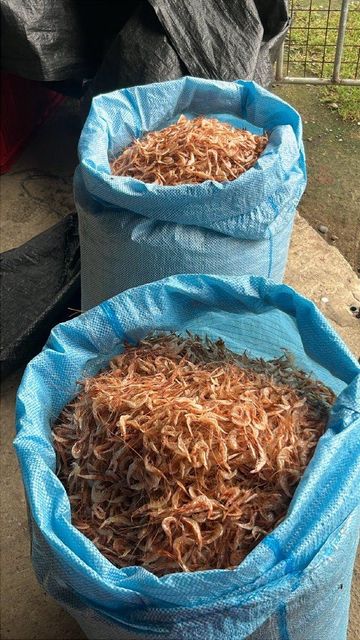 DRIED SMALL SHRIMPS - nematopalaemon tenuipes Price Per Kilogram $8 Origin Aparrí Cagayan Philippines - Image 3
