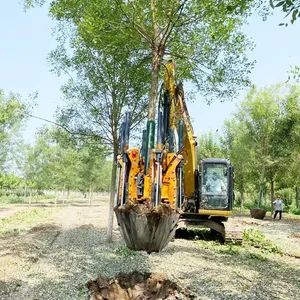 Tree Spade Skid Steer Loader Attachment for Excavator Tree Transplanter ...