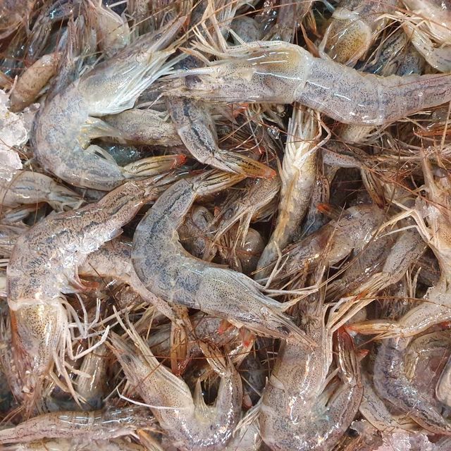 Export Quality Frozen Shrimp Carefully Selected Farm Raised Cleaned and Frozen Quickly to Maintain Ocean Fresh Taste – product photo 4, product detail gallery