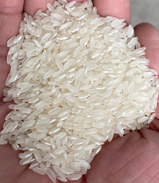 VIETNAM PREMIUM CALROSE RICE (5% broken) – Soft, Glossy & Sticky Medium Grain - Image 1