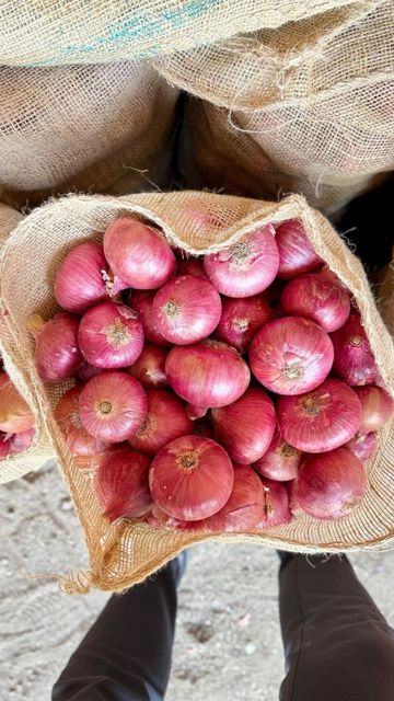 Onion Packaging 10 Color Red And Yellow Shelf Life Long-lasting Quality Standard Export Quality Harvest Maturity At Peak Maturity - Image 1