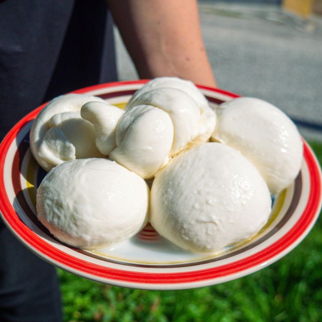 Natural Mozzarella Cheese Crafted For Superior Melting Performance And Wholesale Dairy Purchasing Programs Worldwide - Image 1