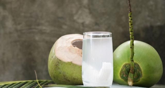 Green Coconut - Fresh Young Brix 7 - 9 High Quality Origin Ben Tre Viet Nam Export Products 100% Natural Sweet Coconut - Image 3