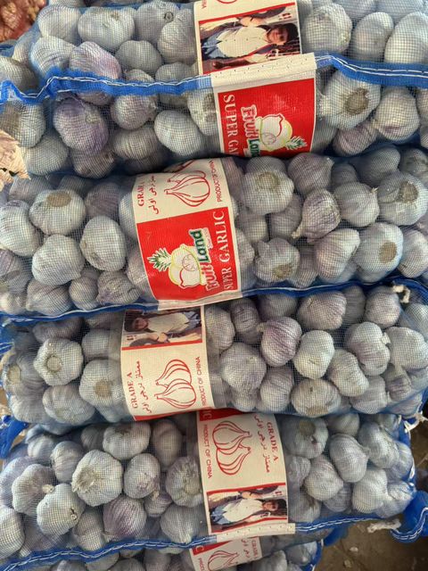 Fresh Vegetables Certifications Haccp, Iso Supply Stability Year-round Packaging Options 5kg/10kg Boxes, Mesh Bags Customization Support Oem Or Private-label - Image 2
