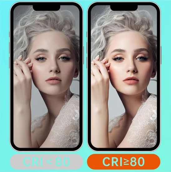 Dengwei Professional Ring Light with Phone Holder for Live Streaming - Image 3