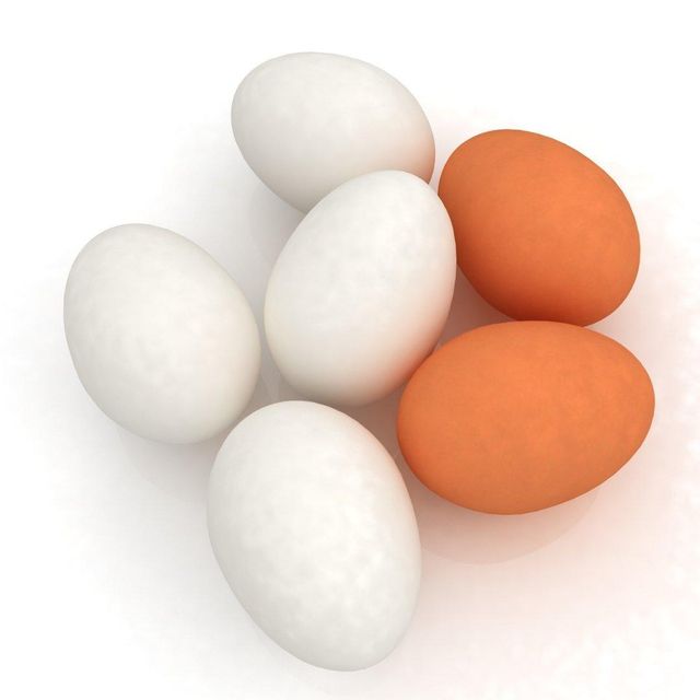 Fresh Table Chicken Eggs With 100% Natural Quality Chicken Eggs Delivered For Wholesale And International Buyers - Image 1