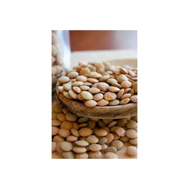 Premium lentil seeds available in bulk ideal for agricultural suppliers and food manufacturers - Image 3