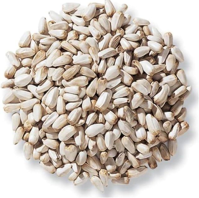 Safflower Seeds, Carthamus tinctorius, kasubha 99% Purity, Premium Export Quality, India - Image 3