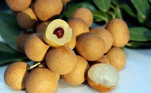 Naturally sweet and juicy flesh Brix 18 to 22% Fresh Longan With Yellowish brown skin semi-transparent flesh - Image 4
