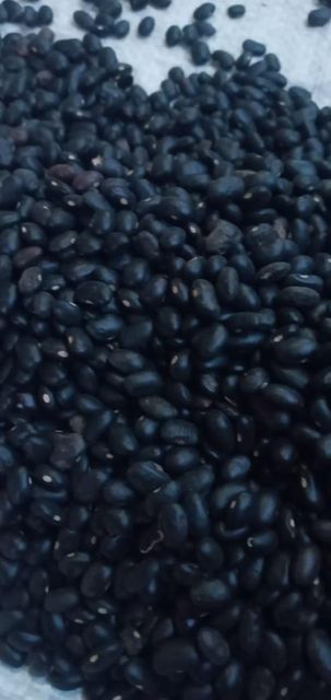 Black beans - Image 1
