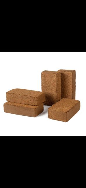 coco peat - Image 1