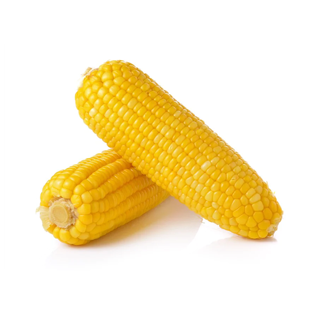 Reliable yellow corn available for sale in large volume for inter-national trade - Image 3