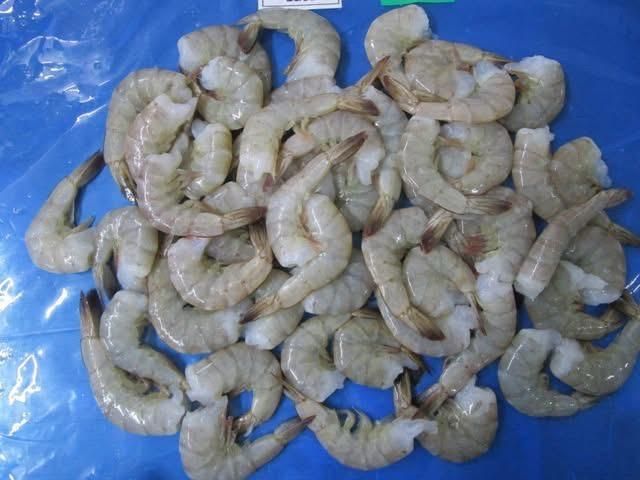Frozen Shrimp Prawn and Tilapia Fillets - Image 2