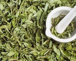 Stevia Leaves, Sun-Dried Green Grade, Indian Origin Origin India Shape Leaf Shaped. Maximum Moisture 10% Shelf Life 24 Months. - Image 1