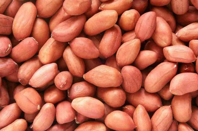 Ground nut bold kernel - Image 4