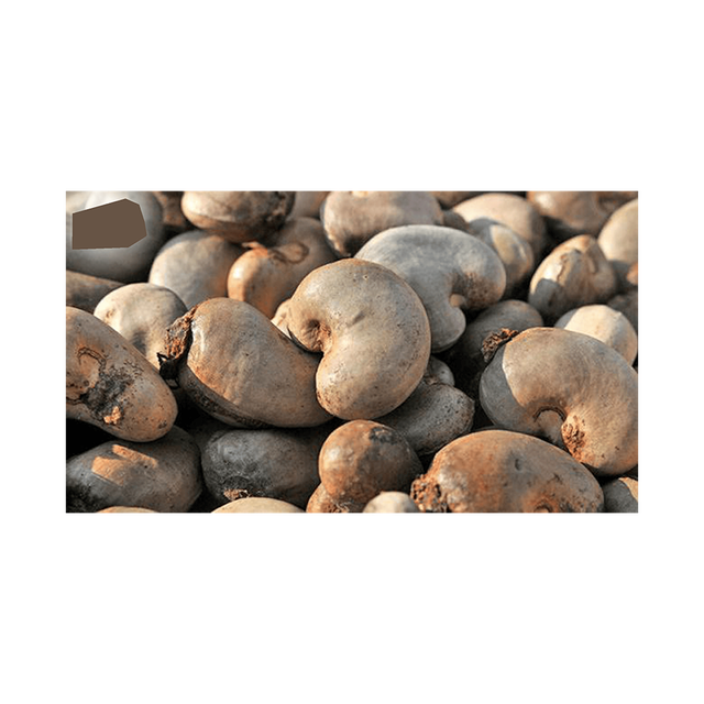 Raw Cashew Nuts offered at discount price for snack food and nut processing industries - Image 2