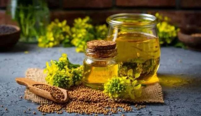 canola oil - Image 2