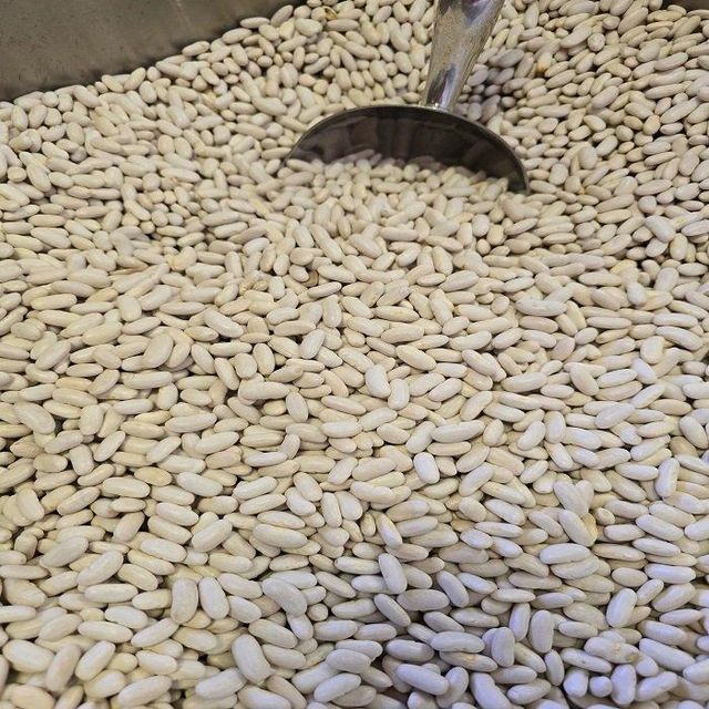 Leading Supplier High Quality Wholesale Bulk Dried White Kidney Beans - Image 5