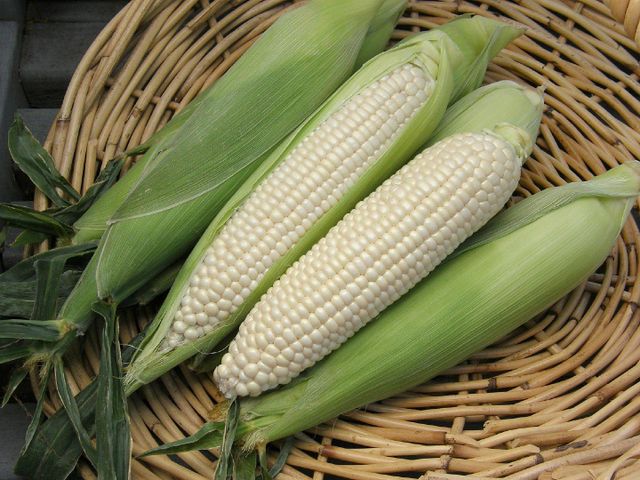 Premium White and Yellow Corn Kernels for Sale Fresh and Clean High Yield Available for Export - Image 5