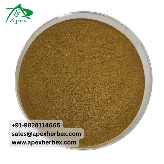 Ashwagandha Powder Extract, Ashwagandha Extract, Withania Somnifera Extract Powder, Withania Somnifera, Ashwagandha , Ashwagandha Extract Supplier From India - Image 2