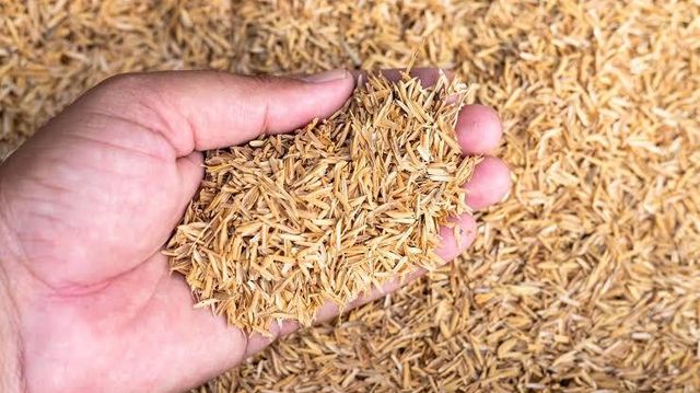 Rice husk - Image 1
